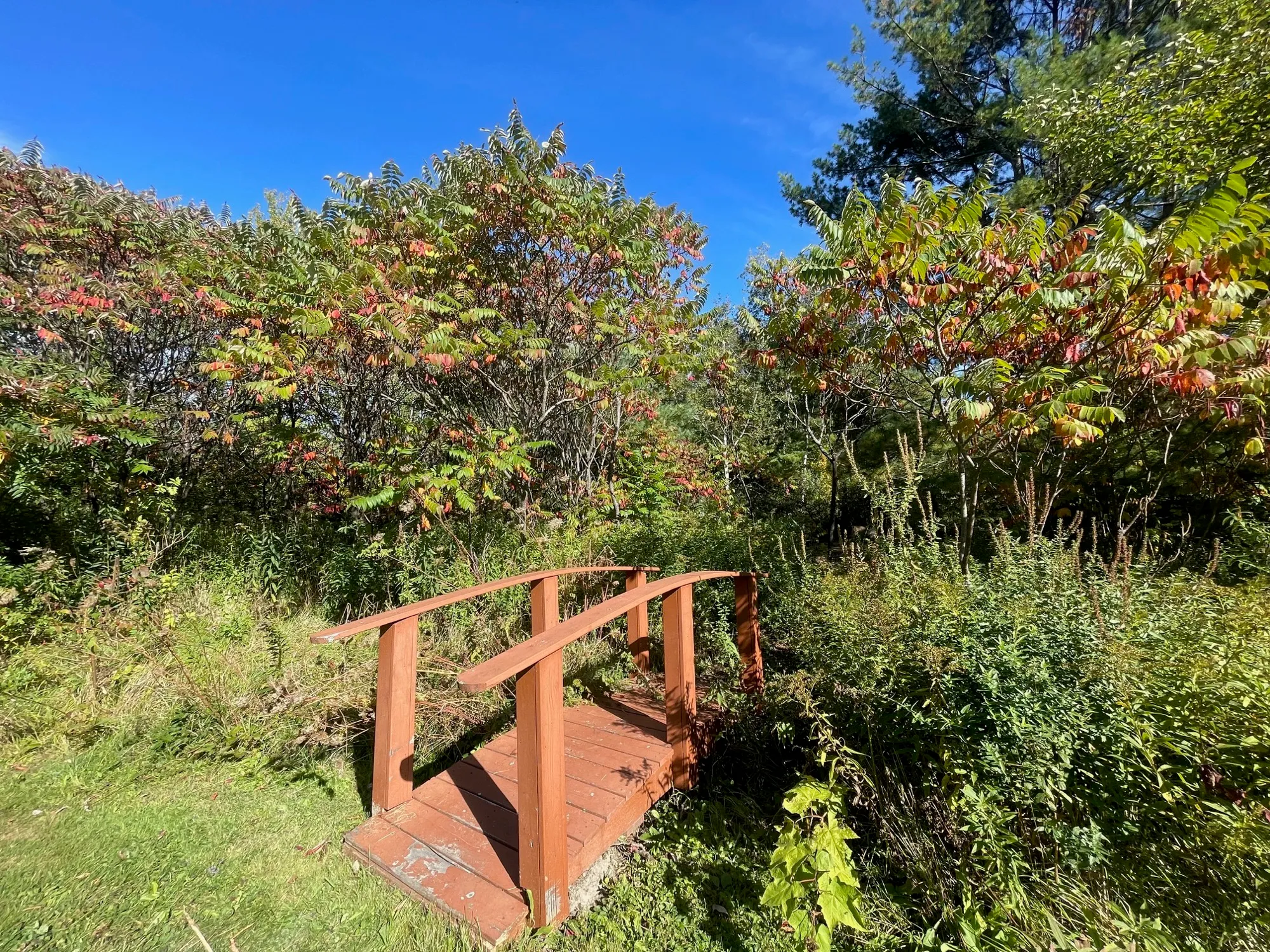 A small wooden footbridge crosses the church's wooded grounds, sumac turning red in early fall